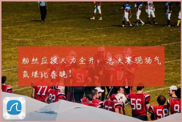 粉丝应援火力全开，总决赛现场气氛堪比春晚！