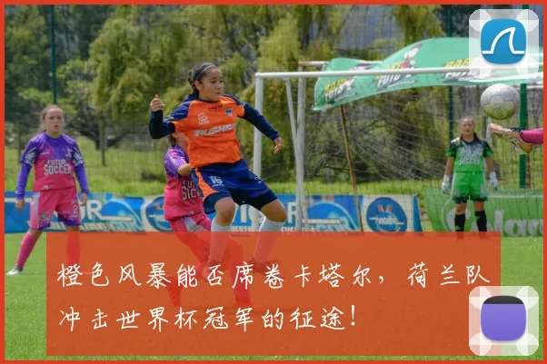 橙色风暴能否席卷卡塔尔，荷兰队冲击世界杯冠军的征途！